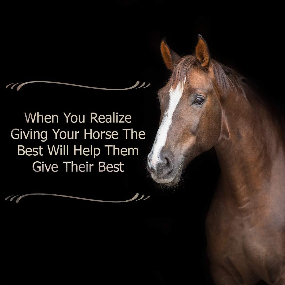 30g Electro-Probiotic Paste for Stressed Horses - Fast Electrolyte & Probiotic Boost