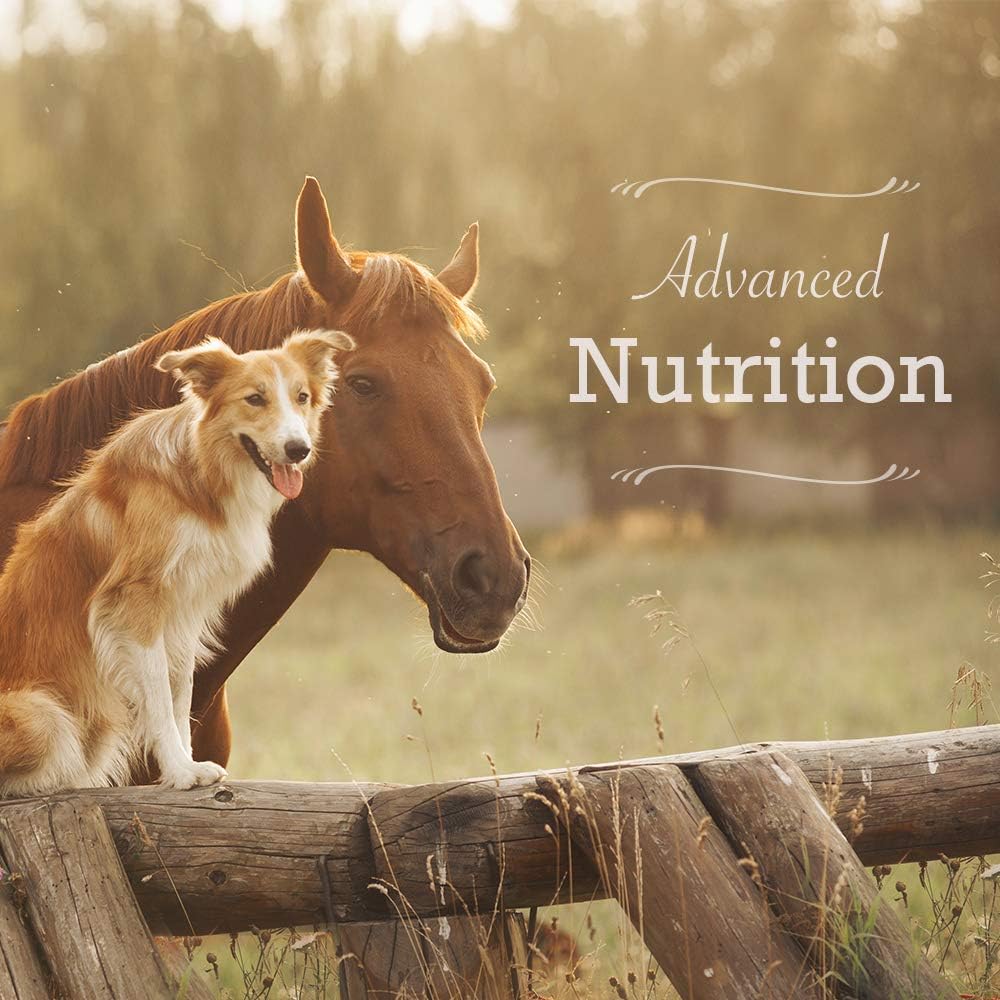30g Electro-Probiotic Paste for Stressed Horses - Fast Electrolyte & Probiotic Boost