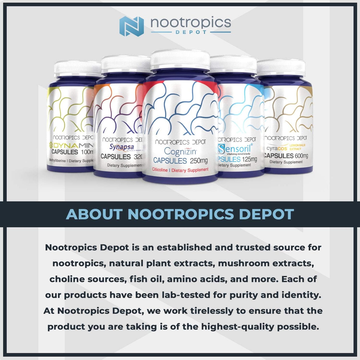 30g Nootropics Depot NA-R-ALA Powder | Supports Mitochondrial Activity | Healthy Metabolism Boost
