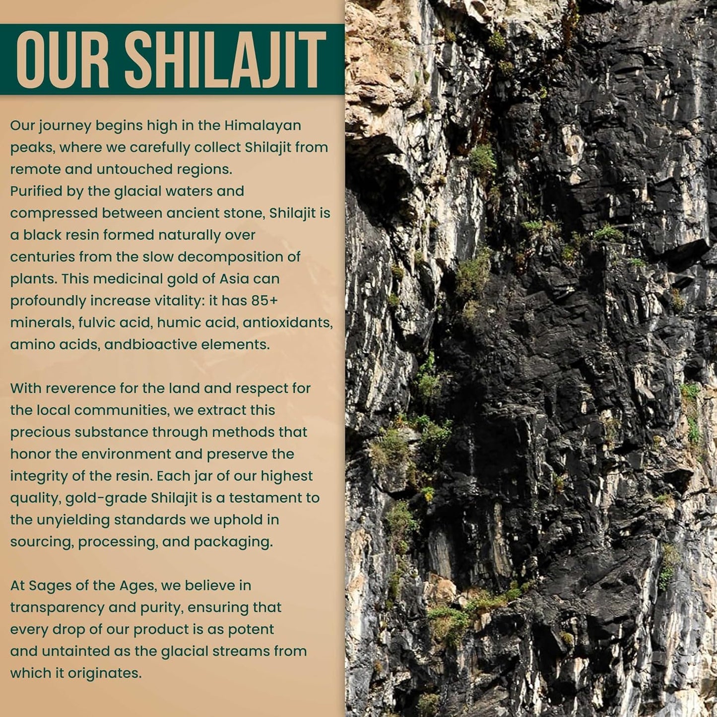 30gm Gold Grade Pure Himalayan Shilajit Resin: Lab Tested, 85+ Trace Minerals, 78% Fulvic Acid - Organic Shilajit for Men