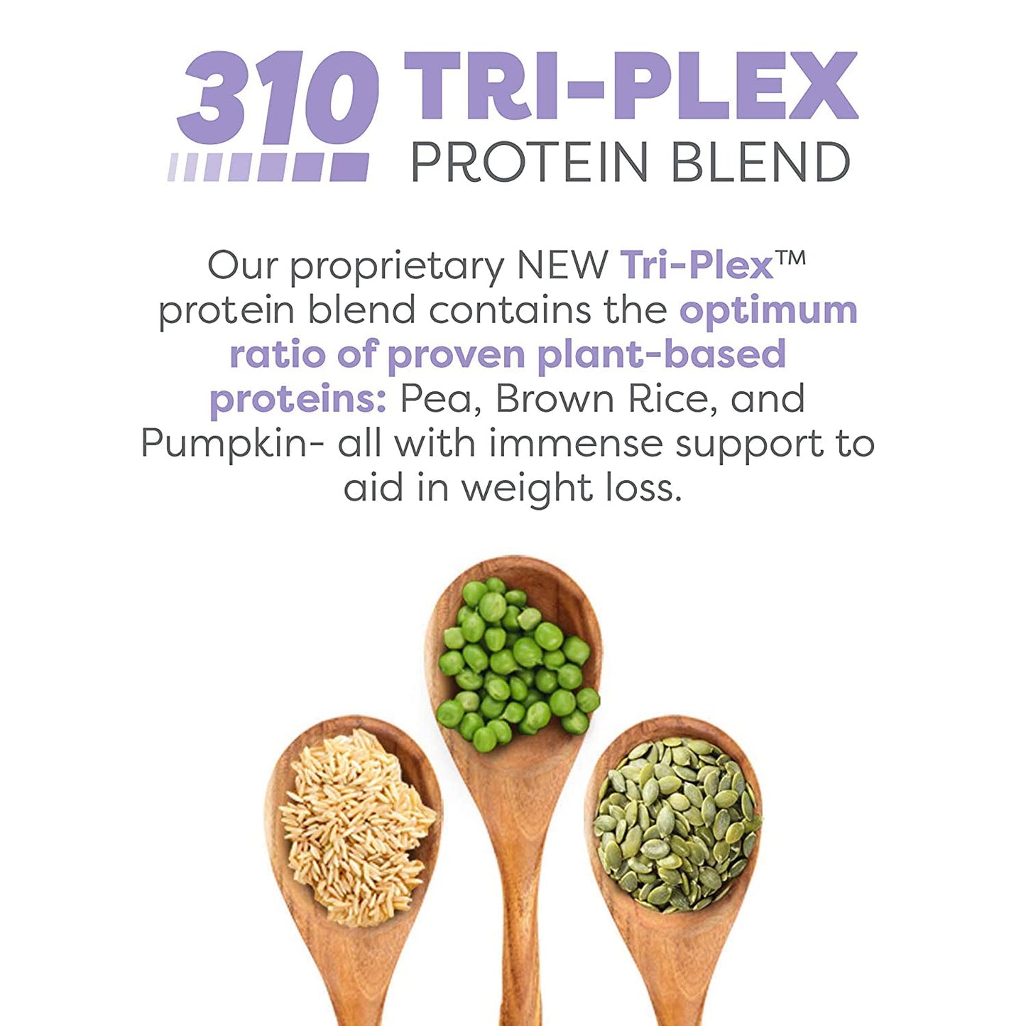 310 Nutrition All-In-One Meal Replacement Shake with Fiber Rich Vegan Superfood Blend, Natural Sweeteners, Low Carb, Keto & Paleo Friendly, Gluten Free - Caramel Sundae Flavor - Variety Shake Box