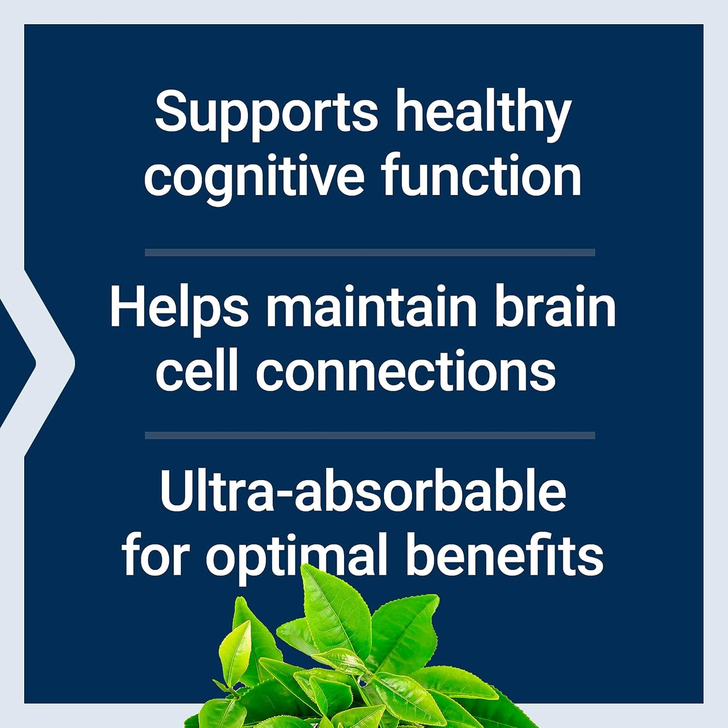 32 fl oz Viva Naturals Organic MCT Oil: Best Supplement for Keto Coffee & Life Extension Neuro-mag Magnesium L-threonate for Brain Health and Memory