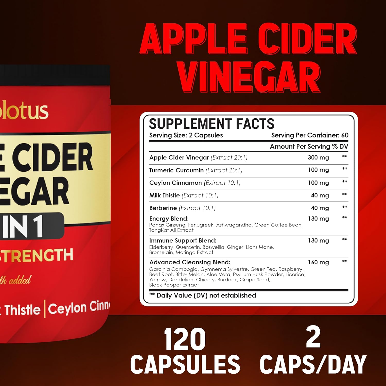 32-in-1 Apple Cider Vinegar Capsules with Turmeric, Cinnamon, Milk Thistle, Elderberry, Quercetin for Digestion & Immune Support - 120 Caps
