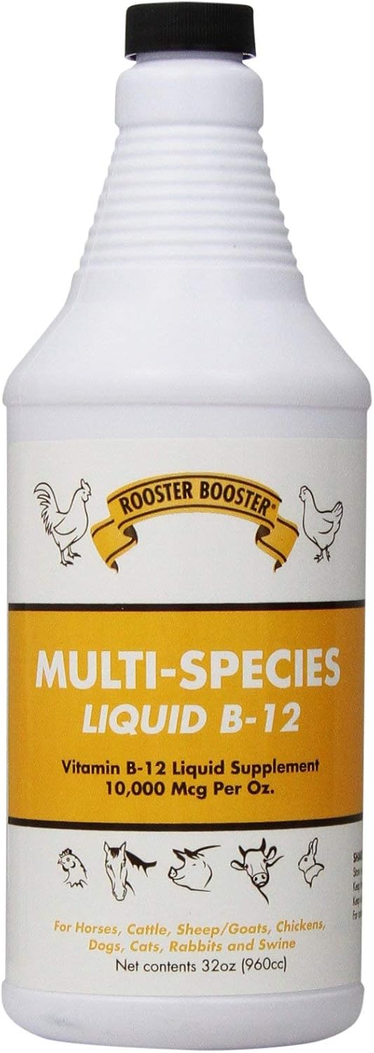 32-Ounce Rooster Booster B-12 Liquid Supplement for Energy and Performance