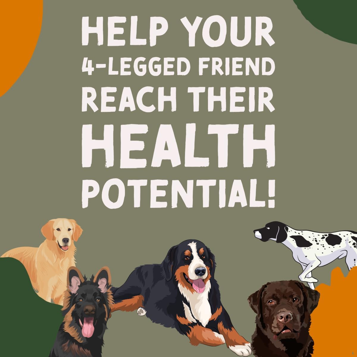 32 oz DogBone Salmon Oil for Dogs | Omega 3 Joint Supplement for Dogs | Wild Alaskan Fish Oil for Dogs Skin and Coat