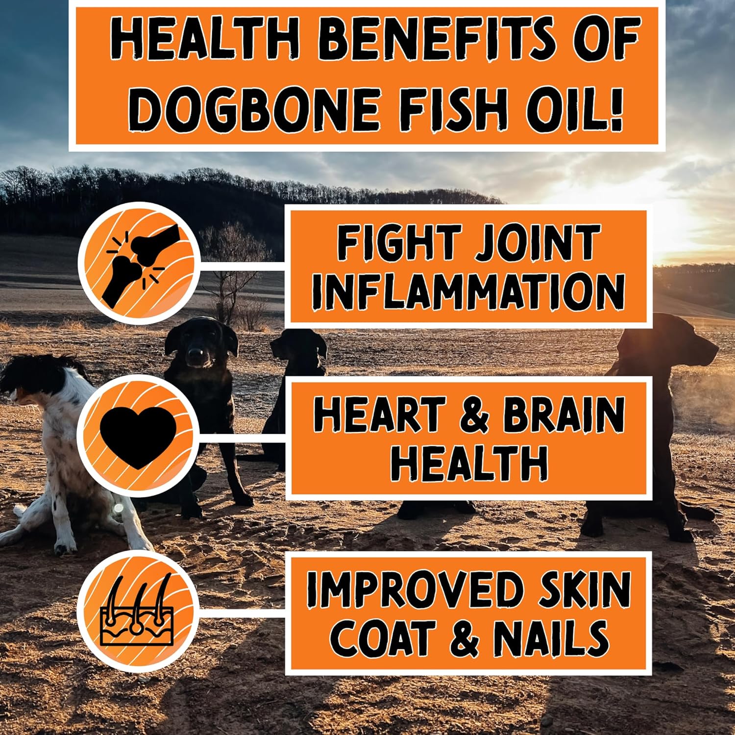 32 oz DogBone Salmon Oil for Dogs | Omega 3 Joint Supplement for Dogs | Wild Alaskan Fish Oil for Dogs Skin and Coat