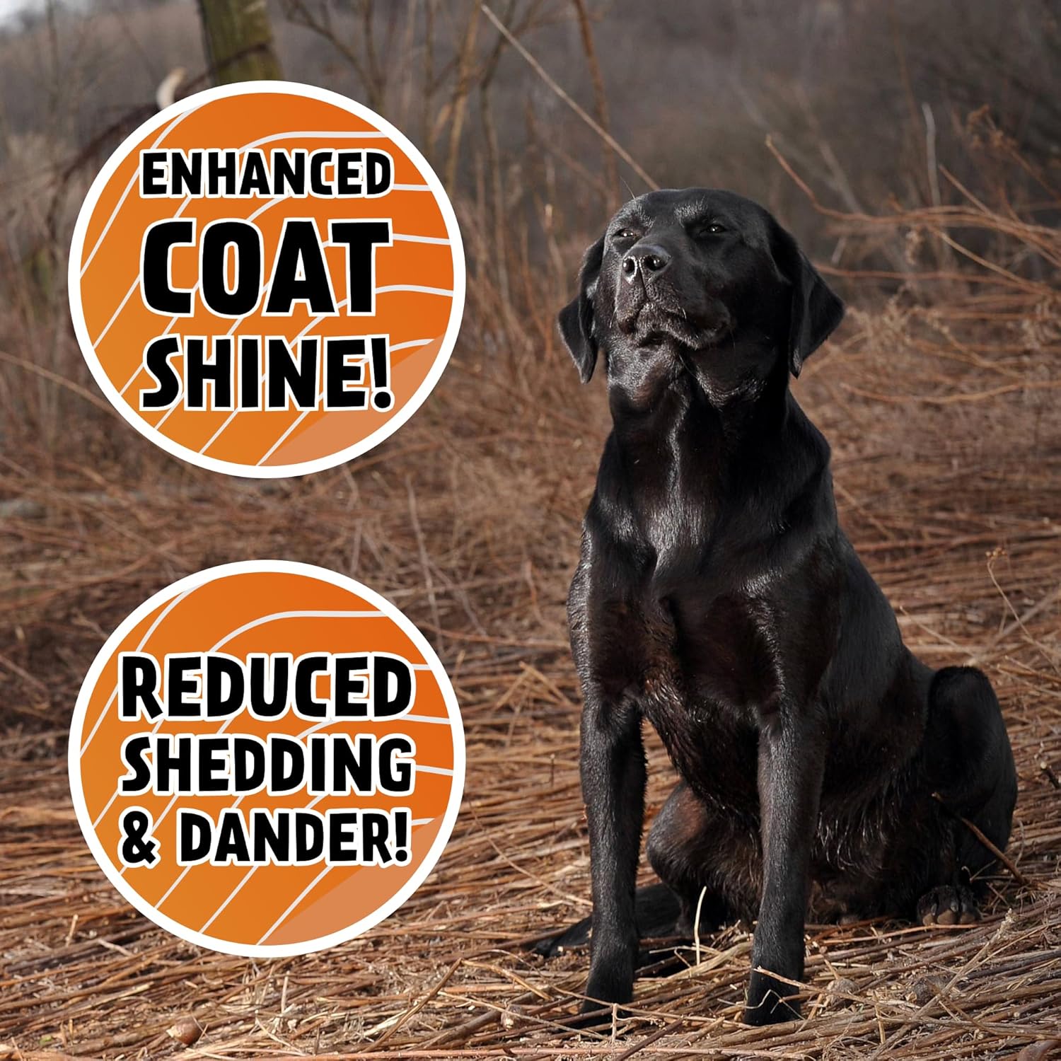 32 oz DogBone Salmon Oil for Dogs | Omega 3 Joint Supplement for Dogs | Wild Alaskan Fish Oil for Dogs Skin and Coat