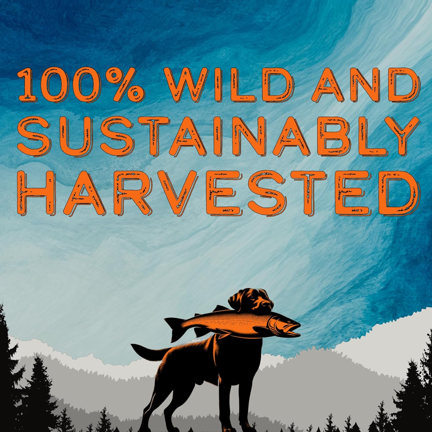 32 oz DogBone Salmon Oil for Dogs | Omega 3 Joint Supplement for Dogs | Wild Alaskan Fish Oil for Dogs Skin and Coat