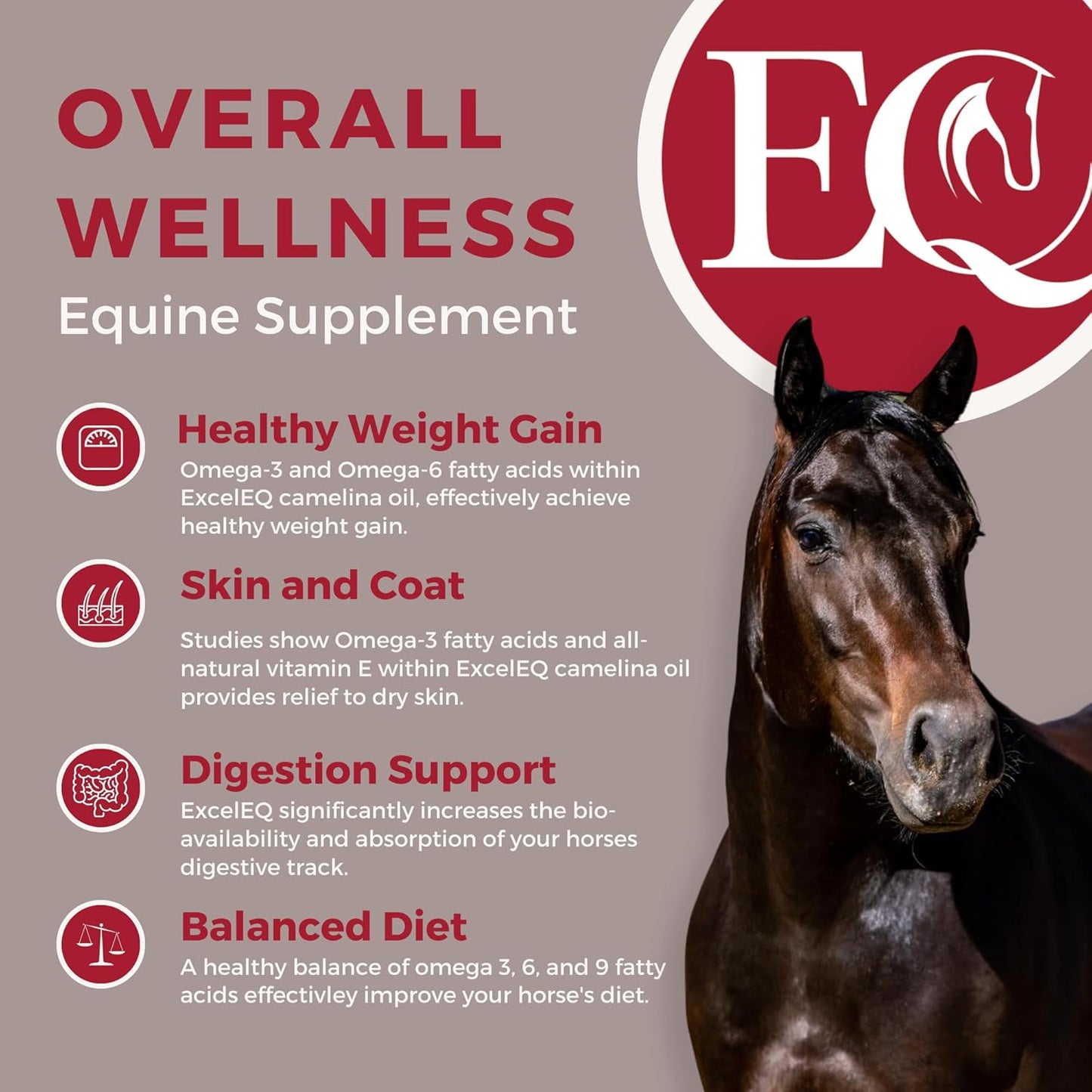 32 oz Excel Supplements Equine Supplement for Horse Joint Support, Muscle Development, Recovery & Gut Health