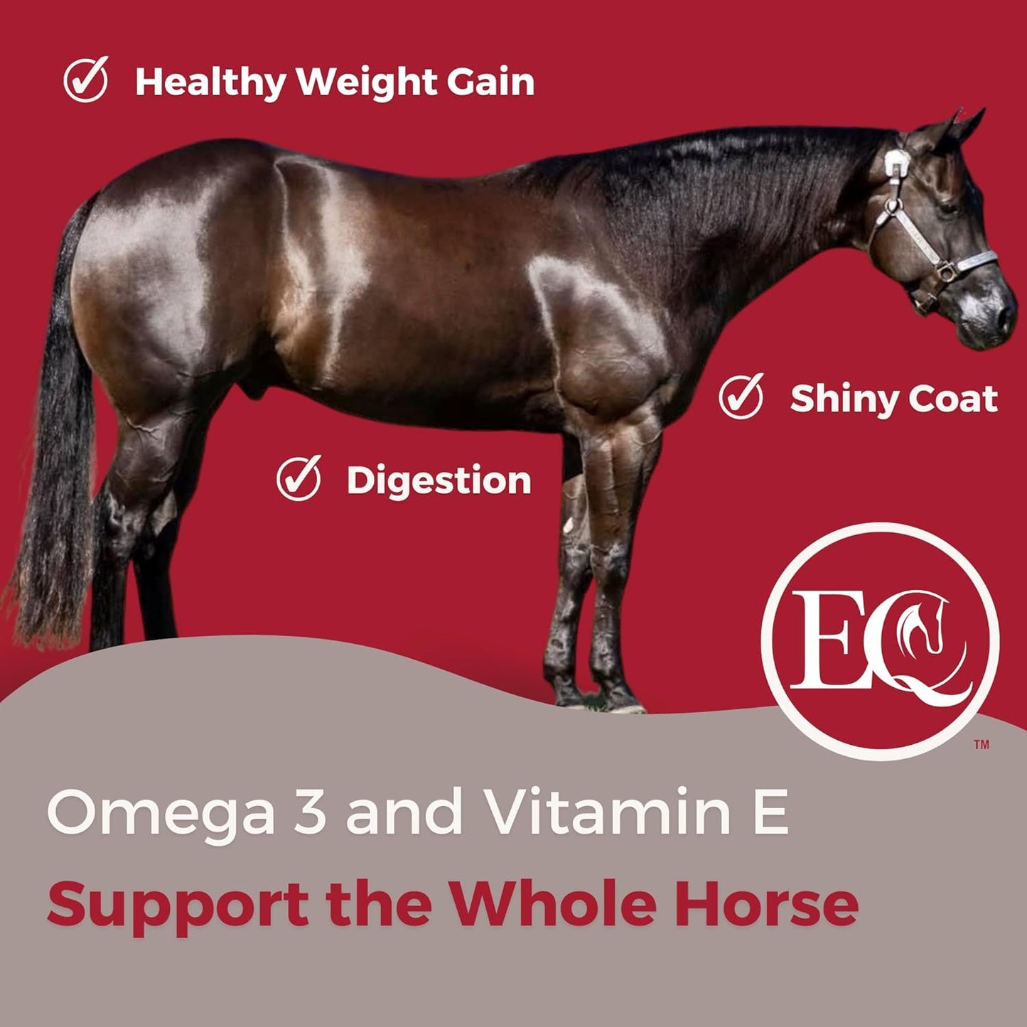 32 oz Excel Supplements Equine Supplement for Horse Joint Support, Muscle Development, Recovery & Gut Health