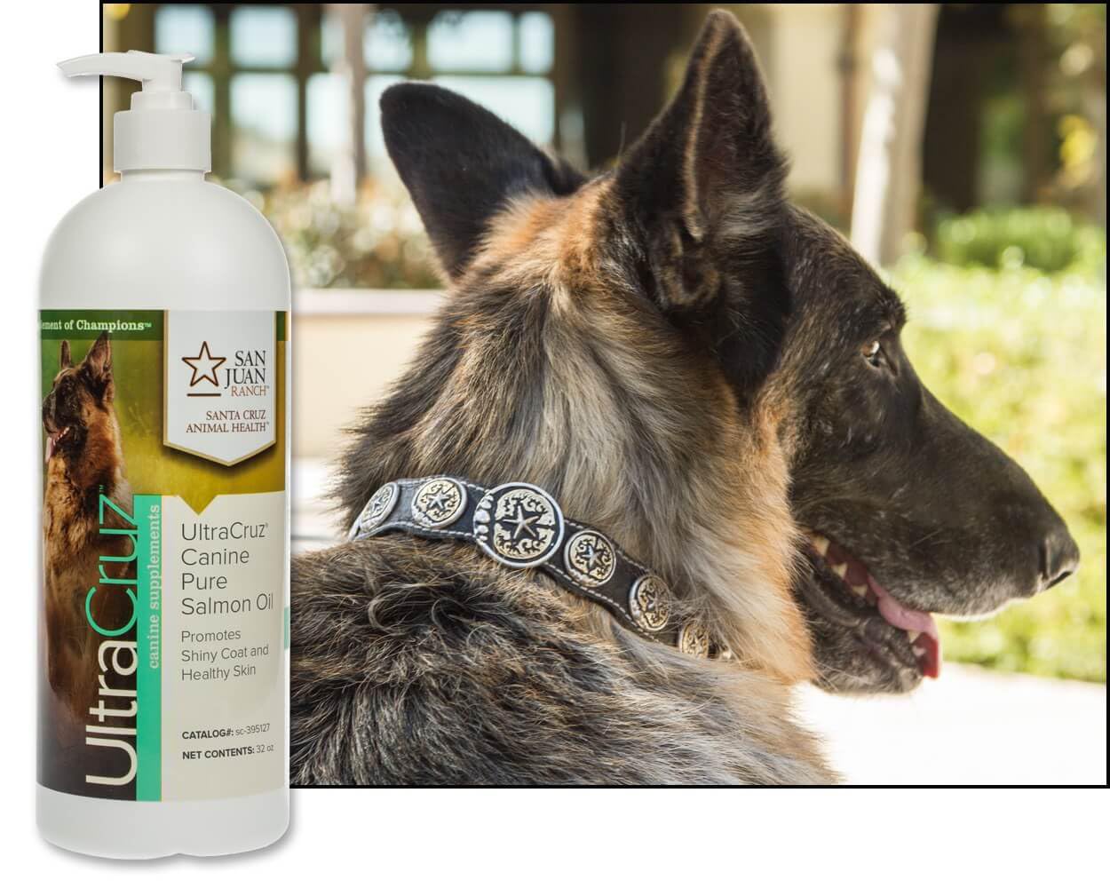 32 oz UltraCruz Canine Pure Salmon Oil Supplement for Dogs - Omega-3 Fatty Acids for Healthy Skin and Coat