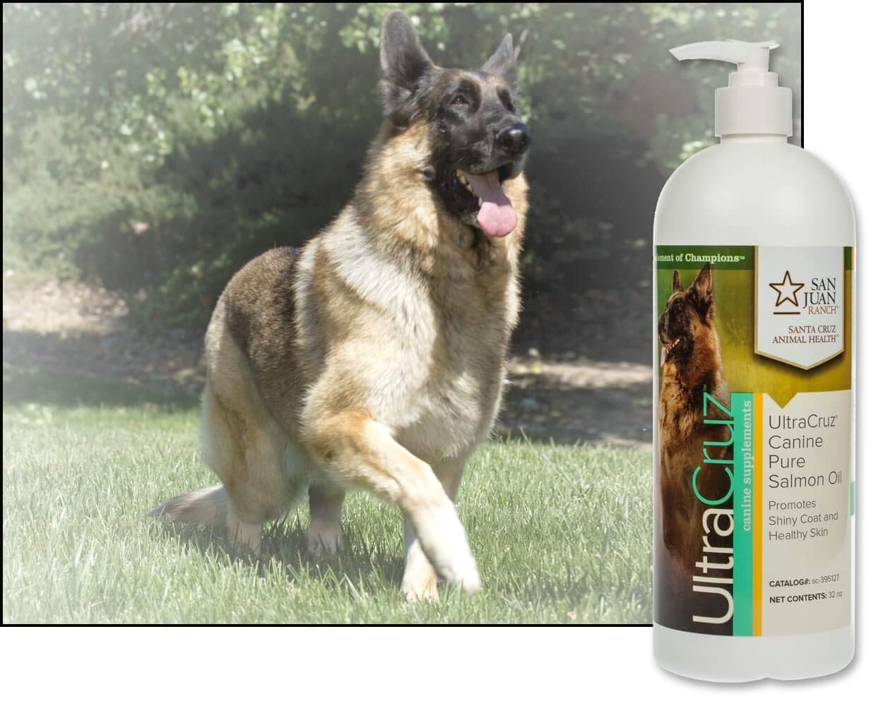 32 oz UltraCruz Canine Pure Salmon Oil Supplement for Dogs - Omega-3 Fatty Acids for Healthy Skin and Coat