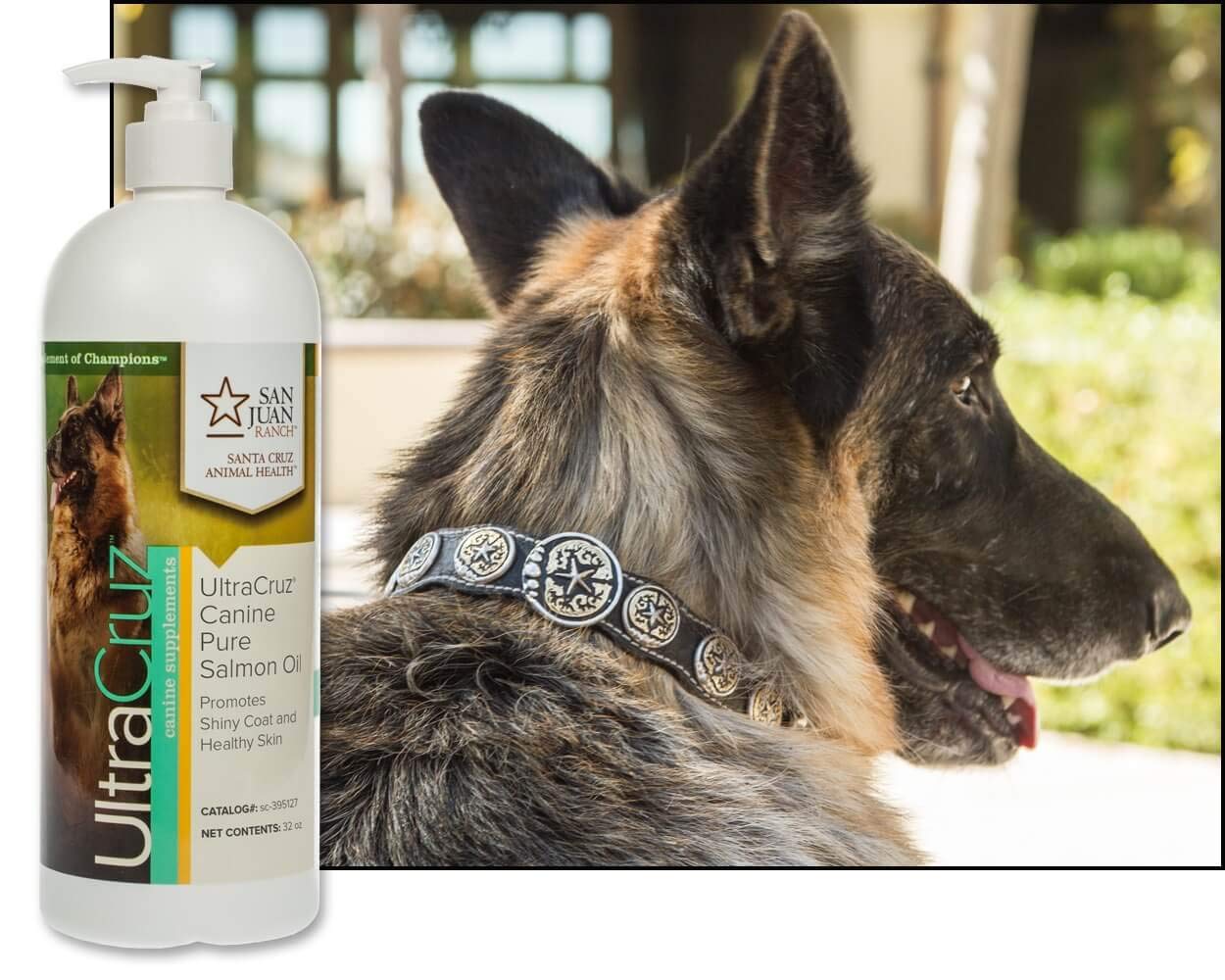 32 oz UltraCruz Canine Pure Salmon Oil Supplement for Dogs - Omega-3 Fatty Acids for Healthy Skin and Coat