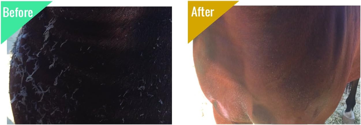 32 oz Veterinary Approved Medicated Body Wash for Horses | Treat Girth Itch, Scratches, Hives, Rain Rot & More