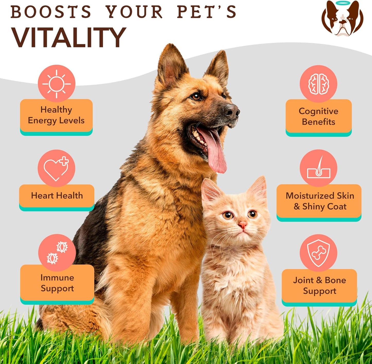 32oz Natural Dog Company Wild-Caught Salmon Oil with Pump for Dogs - Omega 3 Supplement for Joint Health, Skin & Coat - Essential Fatty Acids