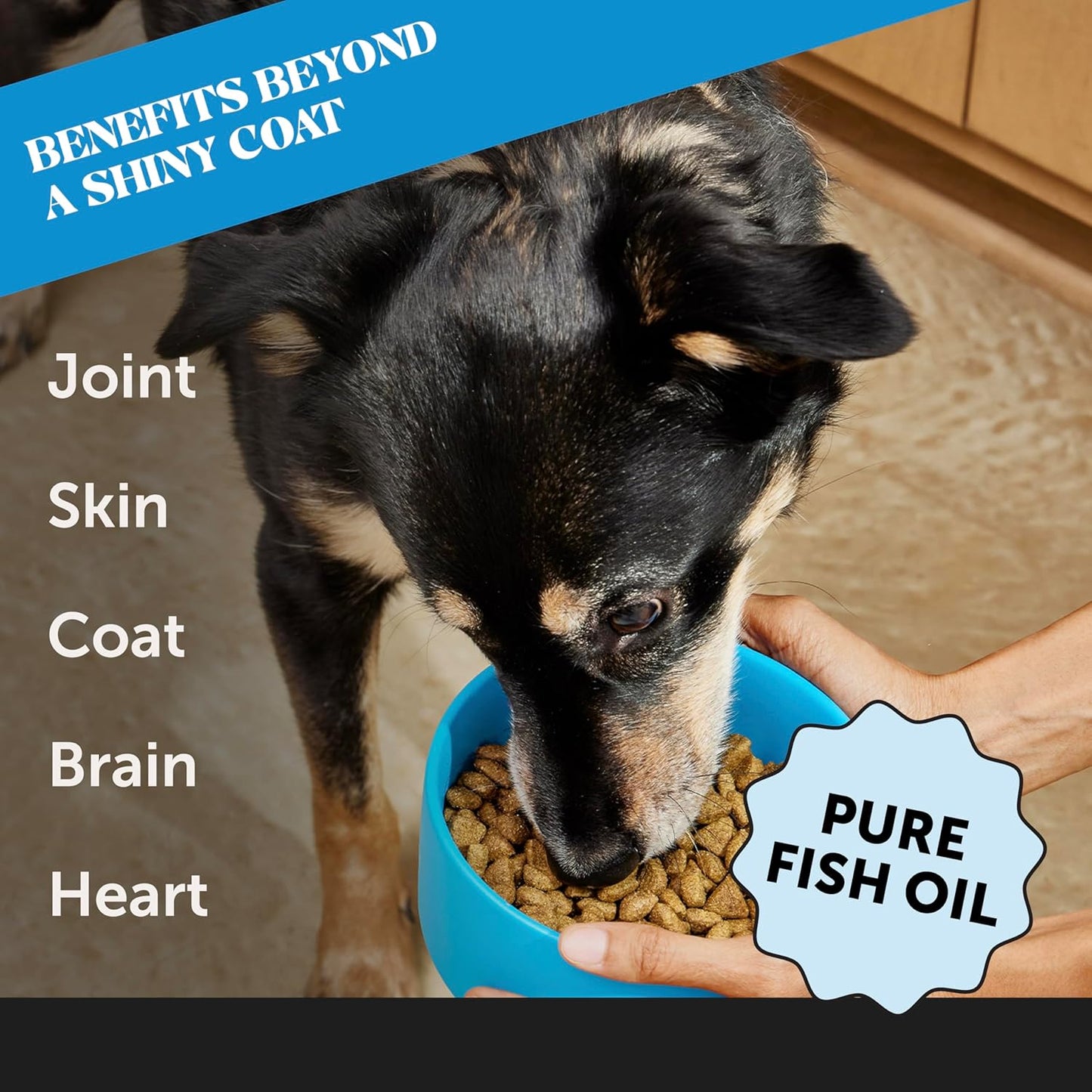 32oz Pet Honesty Wild Alaskan Salmon Oil for Dogs and Cats - Omega-3 Fish Oil, Fatty Acids, Skin & Coat Health, Joints, Brain, Heart Support