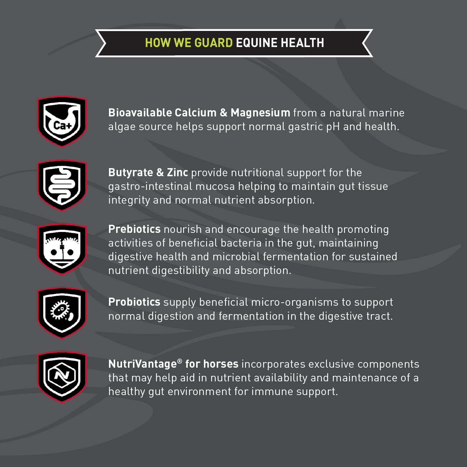 35 lb Bag of Blue Seal Sentinel Care Gastric Support Supplement for Horses