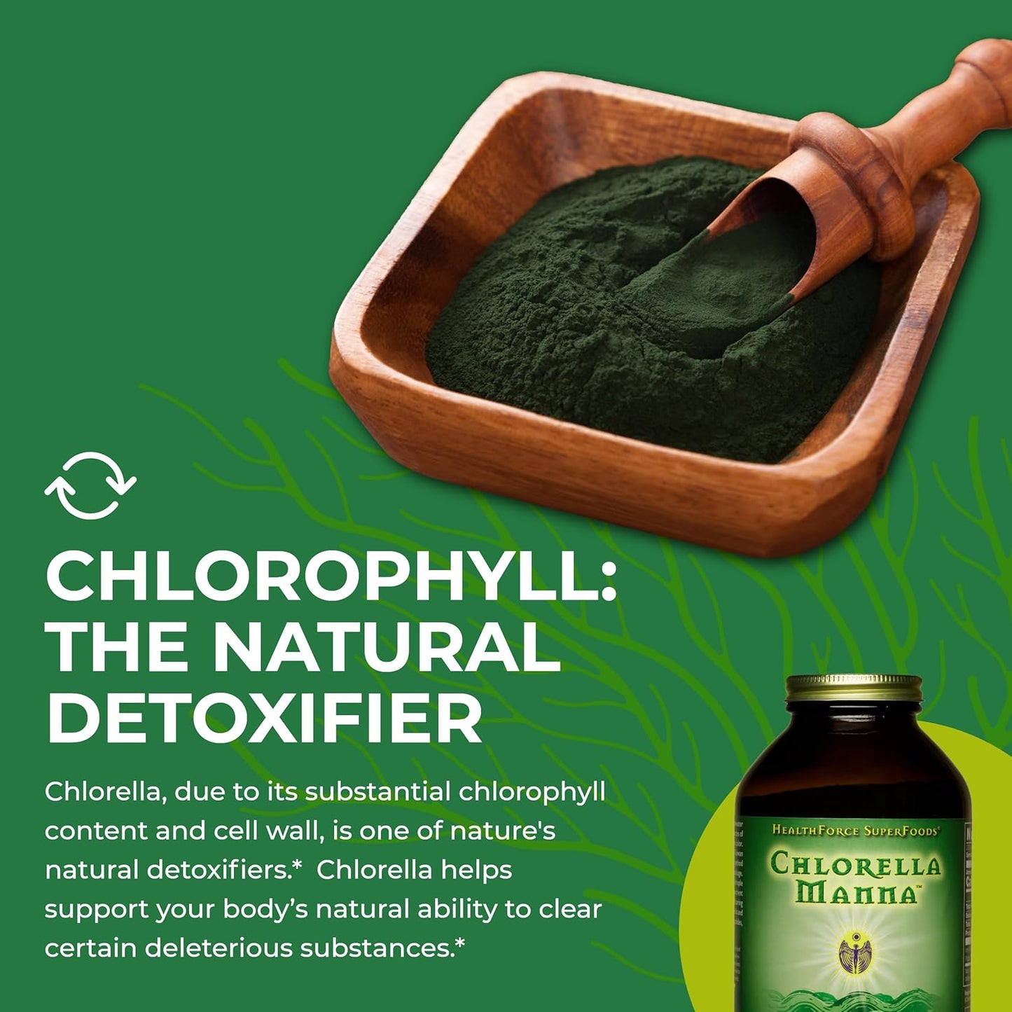 350 Grams HealthForce SuperFoods Chlorella Manna Powder for Detox and Immune Support