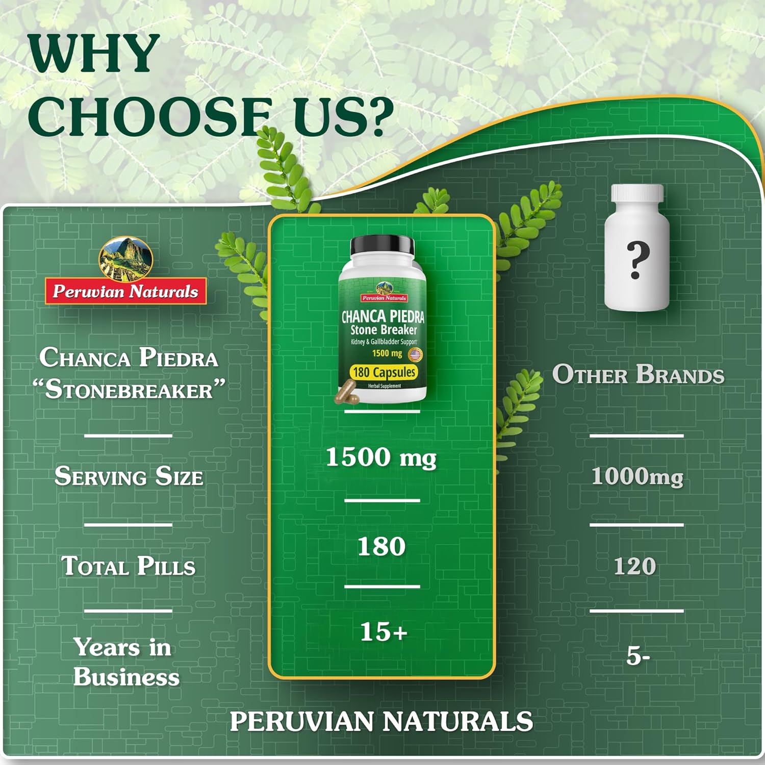 360 Capsules Peruvian Naturals Chanca Piedra Stone Breaker Kidney Cleanse Detox & Repair - All-Natural Vegan Gallbladder Supplements for Kidney Stones
