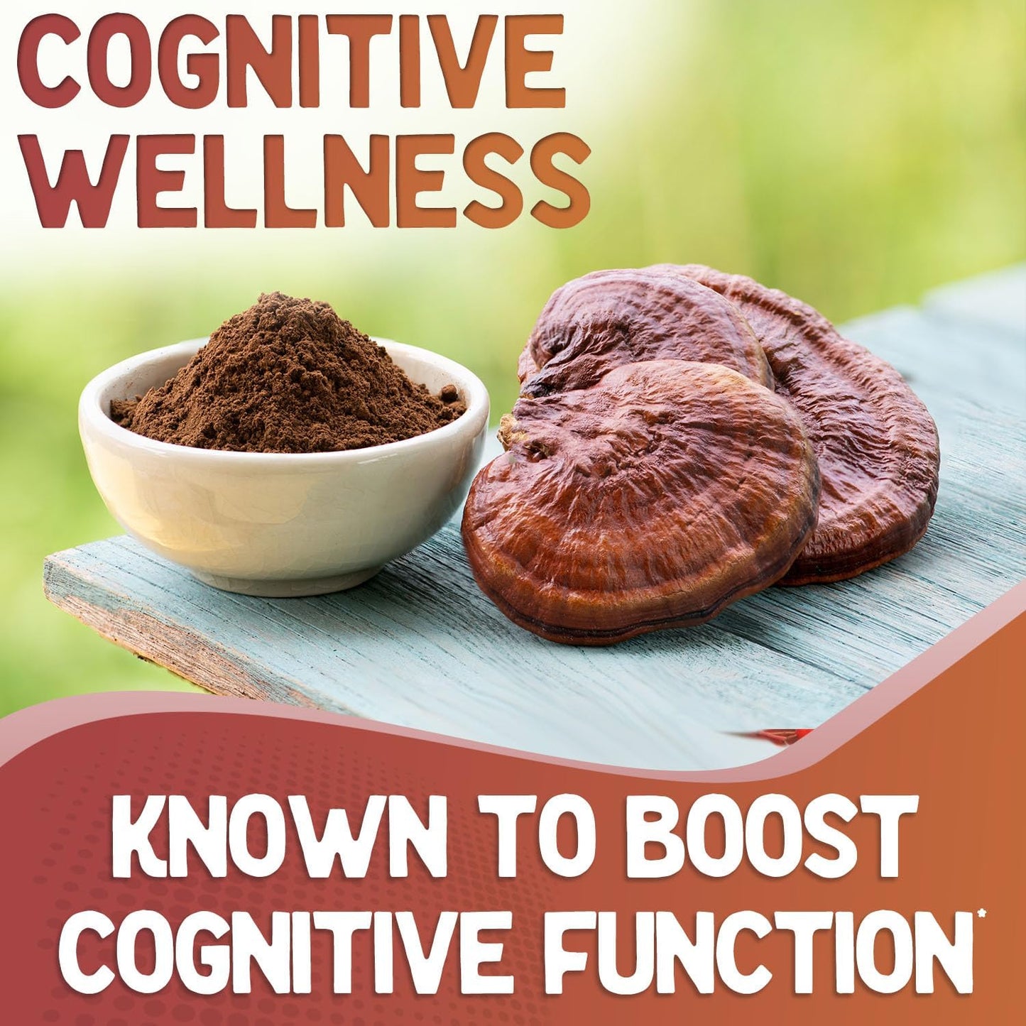 360 Count Reishi Mushroom Capsules for Cognitive and Immune Support - 6 Month Supply - Organic Red Reishi Supplement