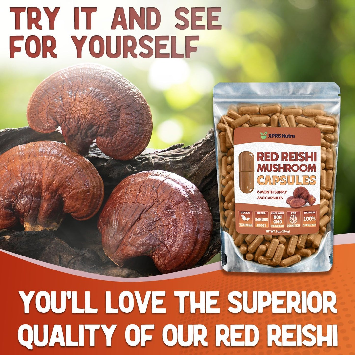 360 Count Reishi Mushroom Capsules for Cognitive and Immune Support - 6 Month Supply - Organic Red Reishi Supplement