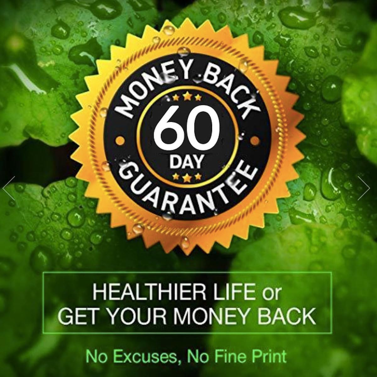 360 Heaven's Gate Raspberry Ketone Capsules - 1000 mg All-Natural Supplement for Active Lifestyle - Vegan, GMO-Free, Gluten-Free - 1 Year Supply