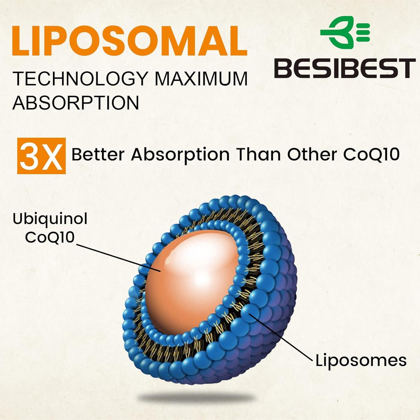 360 Vegan Softgels of Besibest 1000mg Liposomal CoQ10 Ubiquinol for Heart Function & Energy Production
