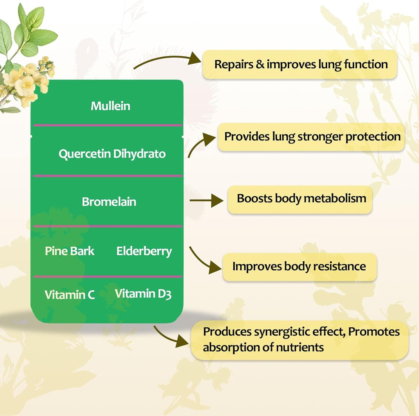 3600mg Mullein Leaf Extract Gummies for Lung Cleanse & Immune Health - Elderberry, Quercetin, Bromelain, Vitamin C&D3 - Vegan, No Sugar - 90 Count