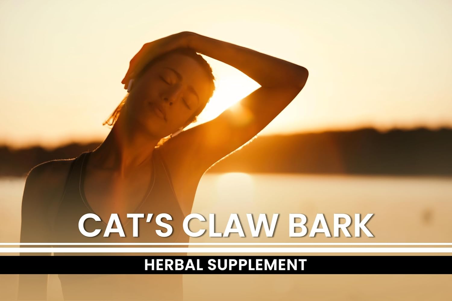 365 Capsules of Pure Cat's Claw Bark with Original Ingredients, No Fillers, Lab Verified