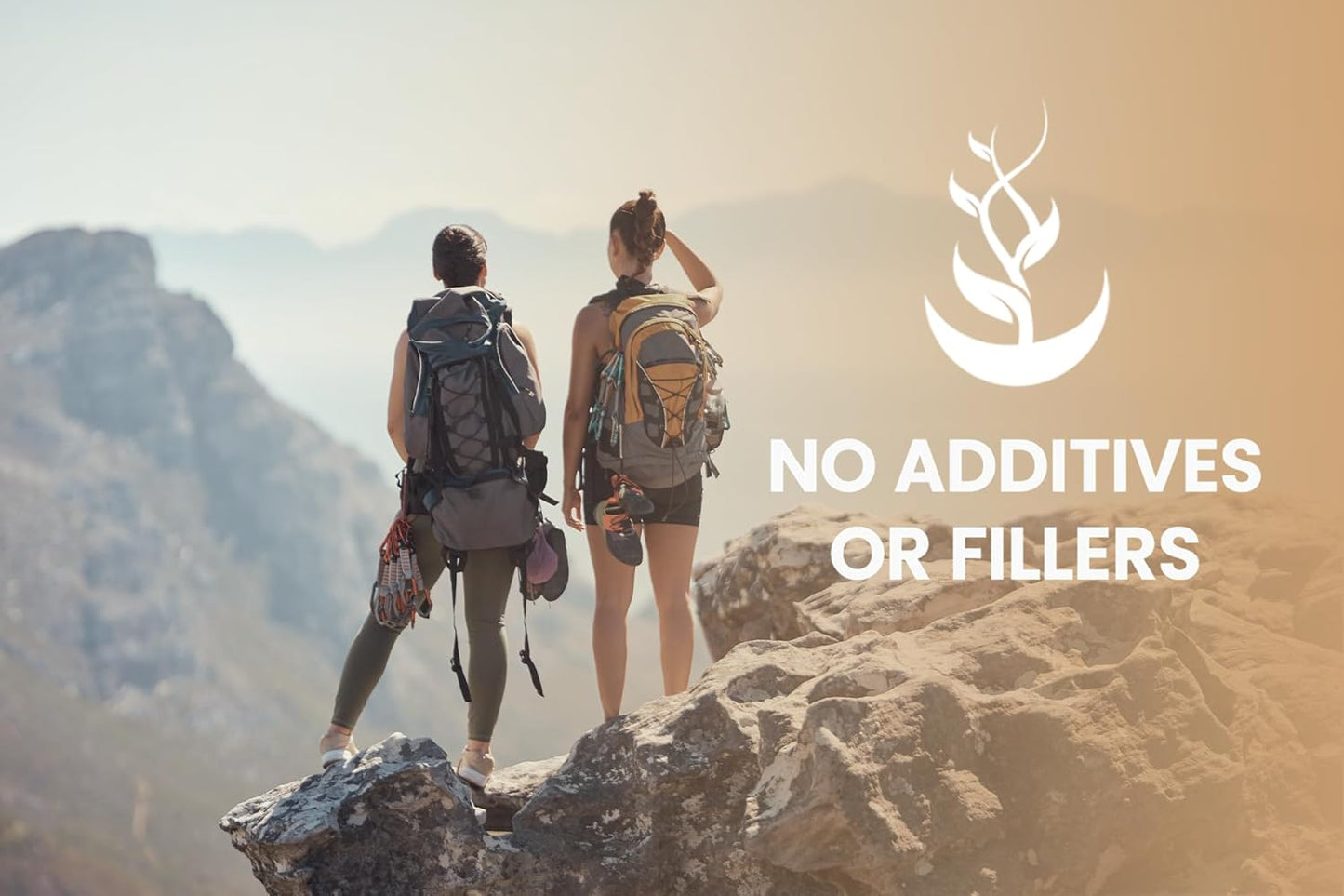 365 Capsules of Pure Cat's Claw Bark with Original Ingredients, No Fillers, Lab Verified