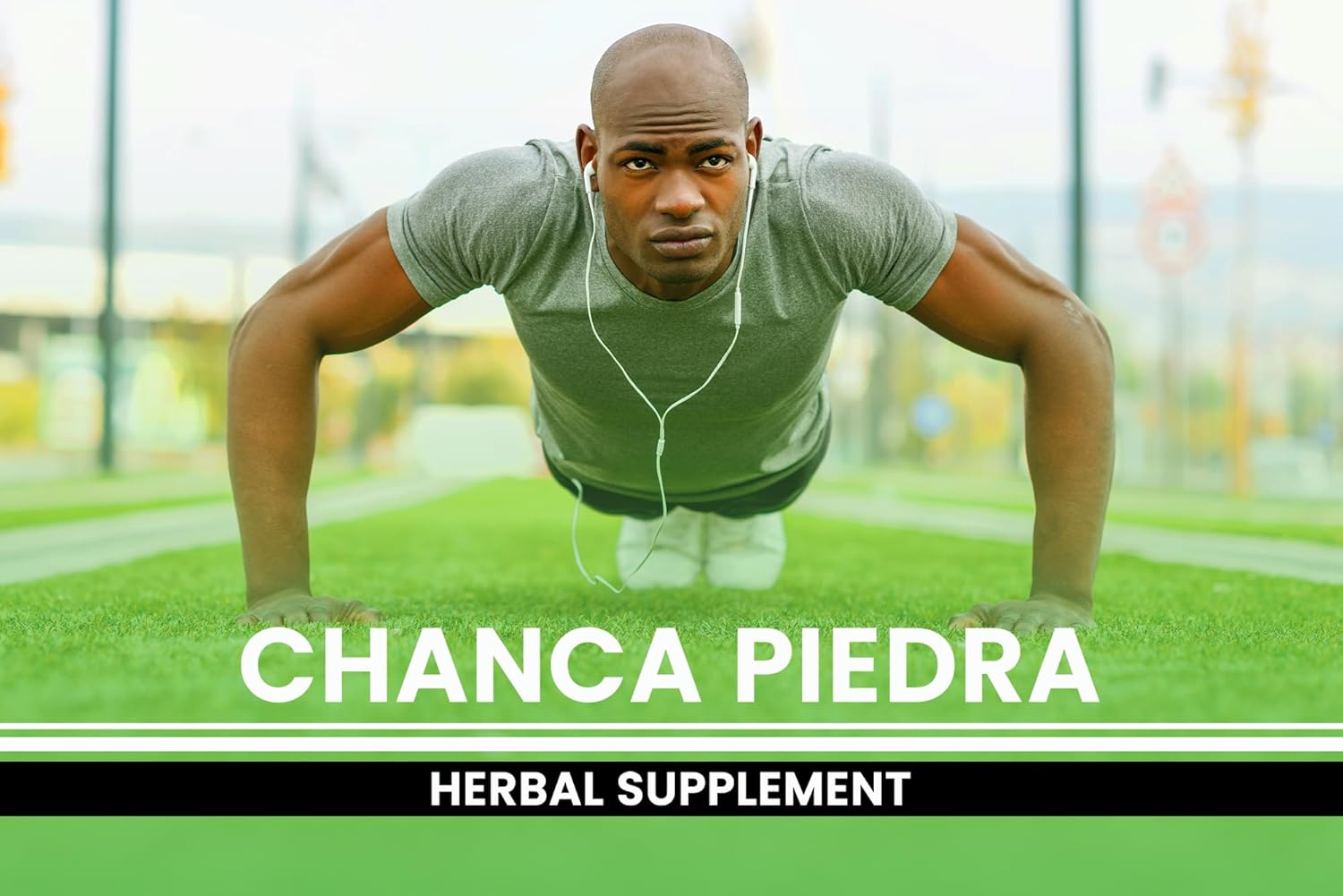 365 Capsules of Pure Chanca Piedra with Original Ingredients - No Fillers, Lab Verified & Magnesium-Free