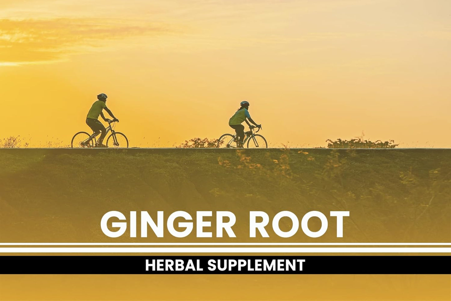 365 Capsules of Pure Ginger Root with No Magnesium or Rice Fillers - Lab Verified and Always Original Ingredients