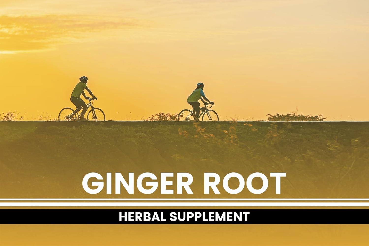 365 Capsules of Pure Ginger Root with No Magnesium or Rice Fillers - Lab Verified and Always Original Ingredients