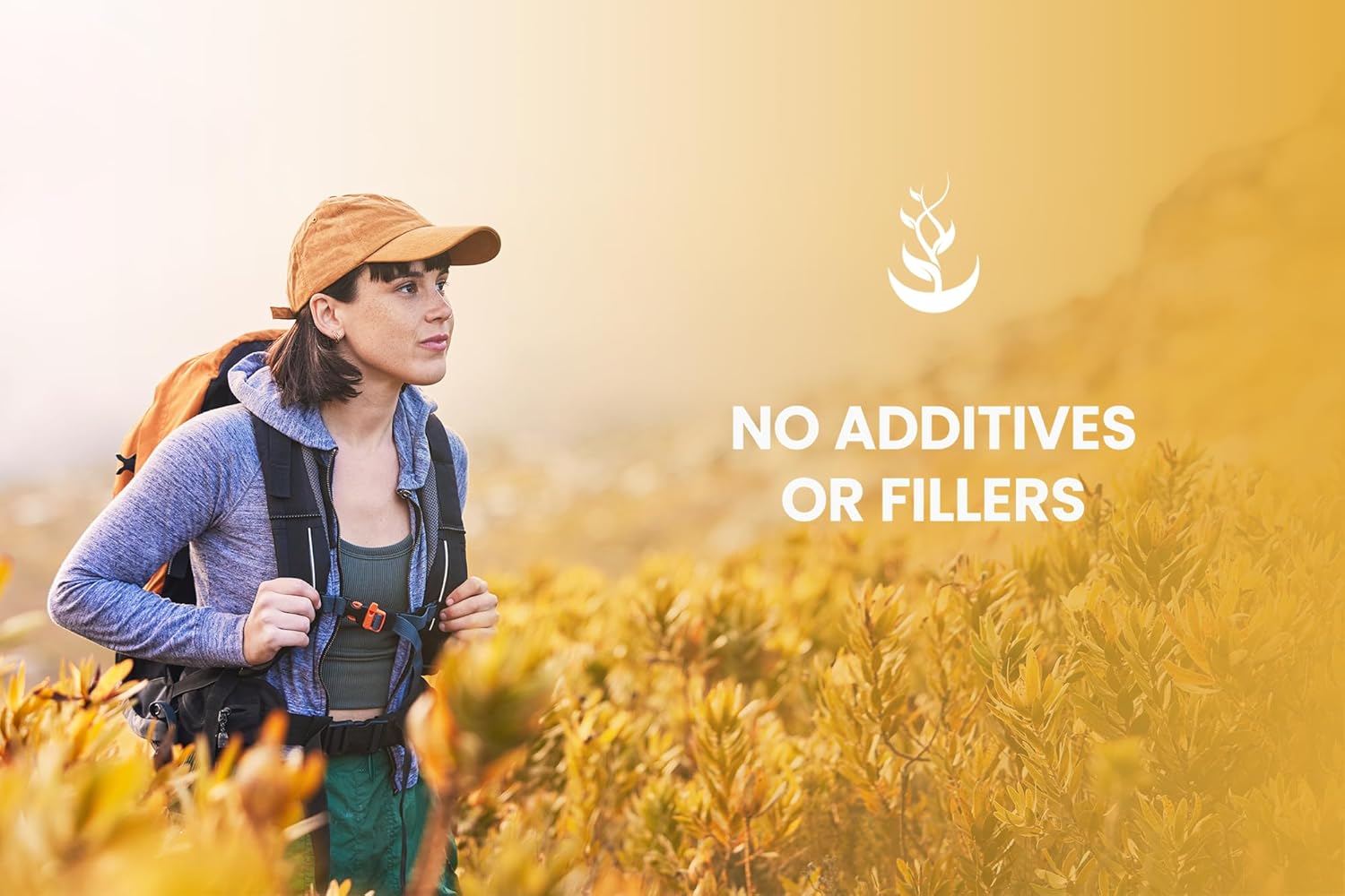 365 Capsules of Pure Ginger Root with No Magnesium or Rice Fillers - Lab Verified and Always Original Ingredients