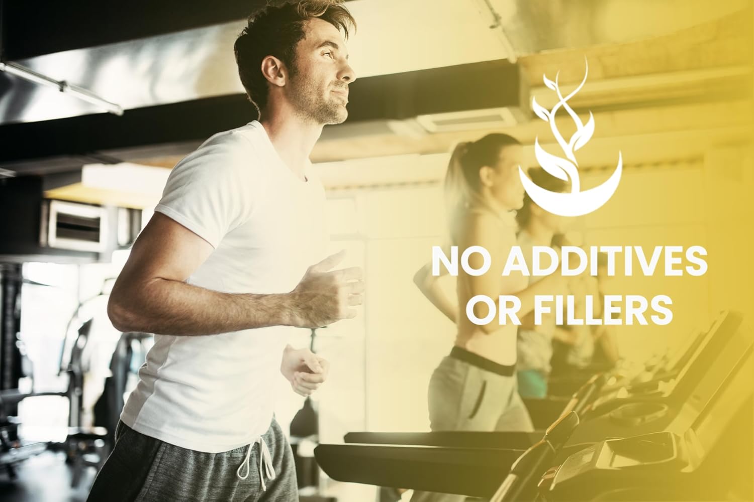 365 Capsules of Pure HMB with Original Ingredients - No Magnesium or Rice Fillers - Lab Verified