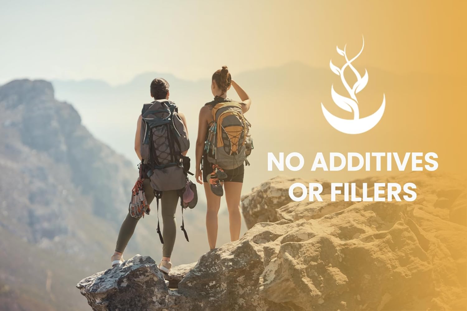 365 Pure Lion's Mane Capsules - Original Ingredients, Lab Verified, No Magnesium or Rice Fillers