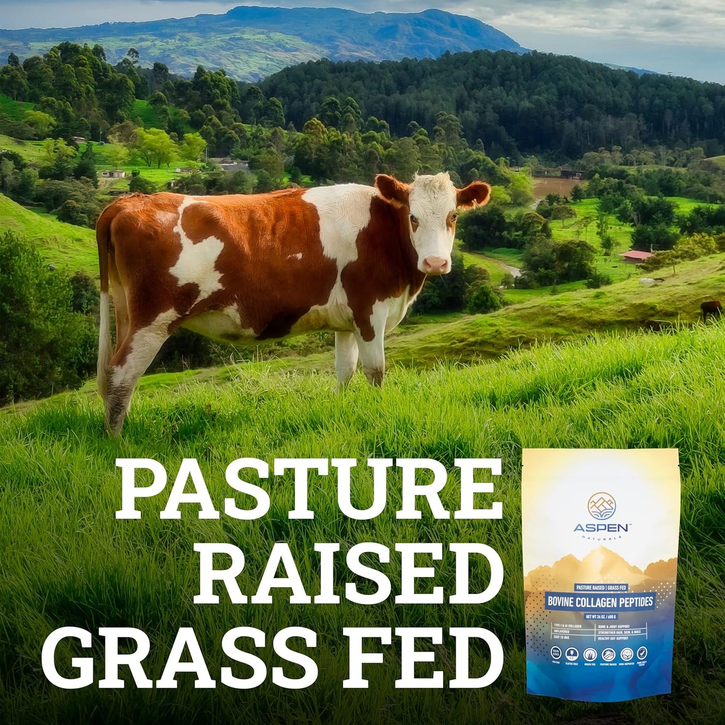 3lb Grass-Fed Bovine Collagen Peptides Powder for Women - USA Sourced, Gluten Free, Paleo Friendly, Flavorless