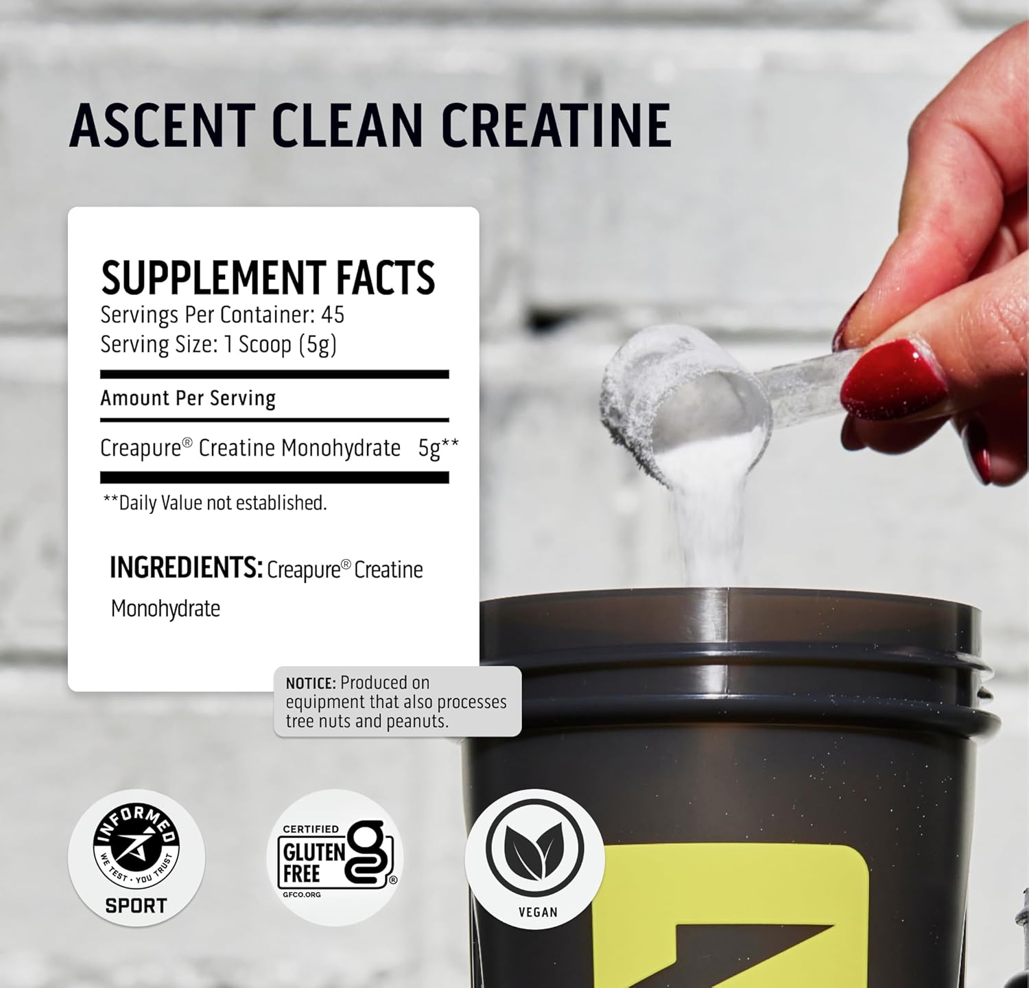 4 lb Chocolate Whey Protein Powder & 45 Servings Unflavored Creatine Monohydrate Powder - Ascent 100% Pure Blend