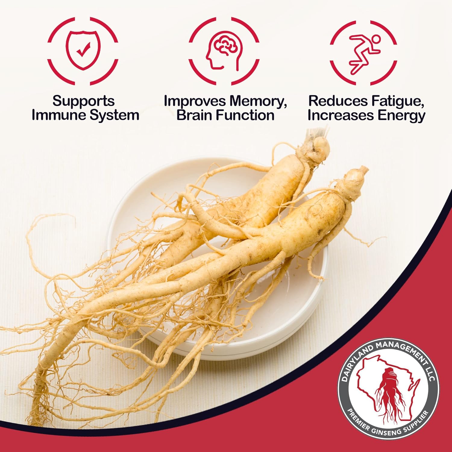 4 oz Pack of Dairyland American Ginseng Roots Prongs - Non-GMO, Gluten Free Wisconsin Ginseng for Soup, Tea, Congee - Herbal Supplement by Dairyland Management LLC