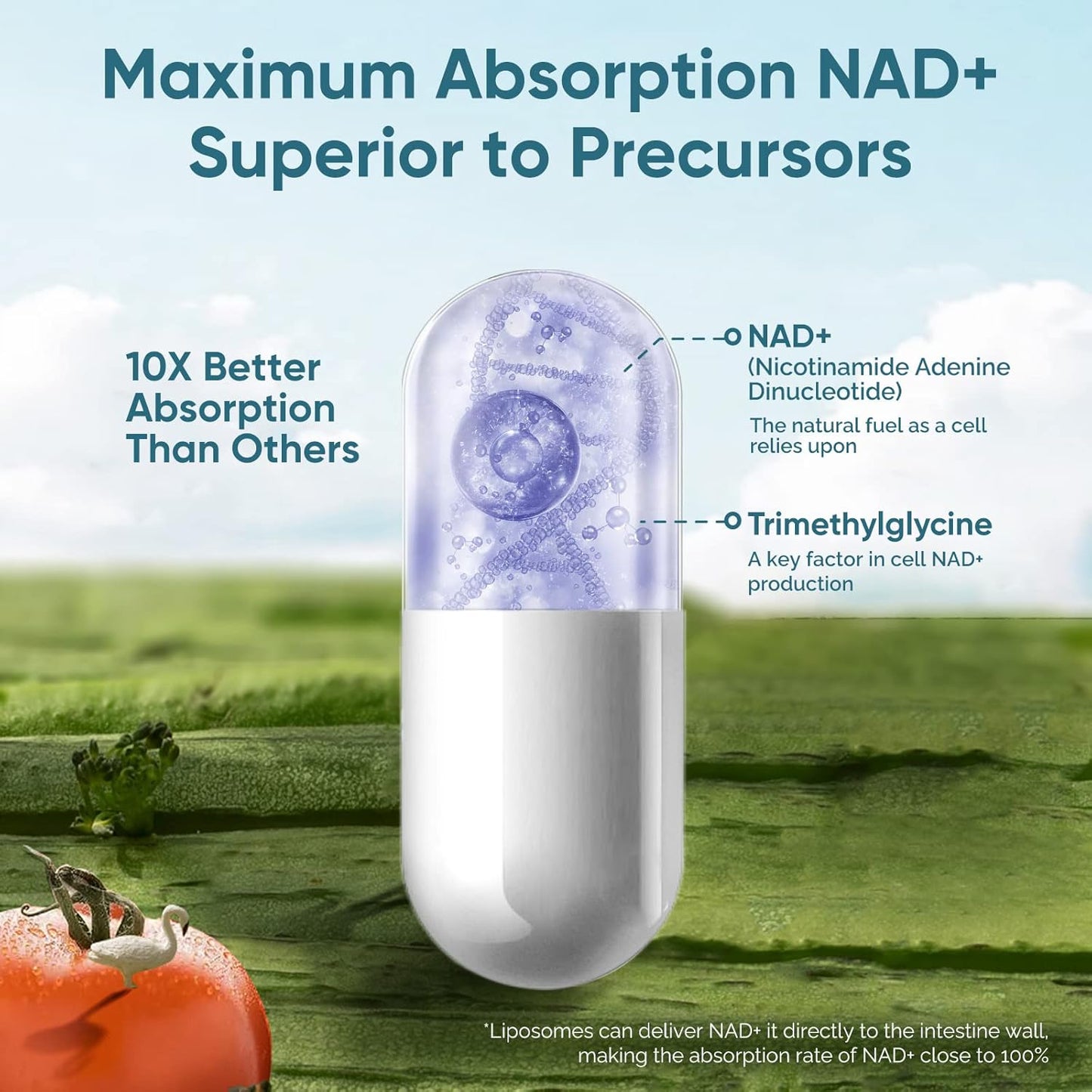 4 Pack of solodate lab Liposomal NAD+ Supplement for Anti-Aging, Energy, and Focus with Highest Potency