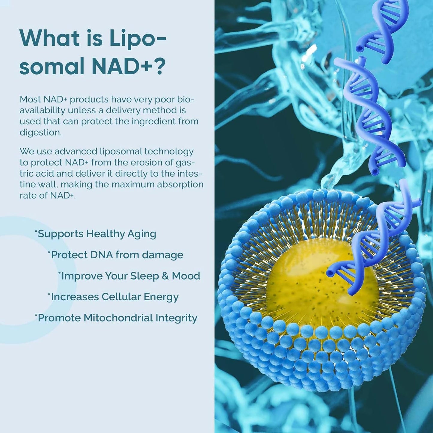 4 Pack of solodate lab Liposomal NAD+ Supplement for Anti-Aging, Energy, and Focus with Highest Potency