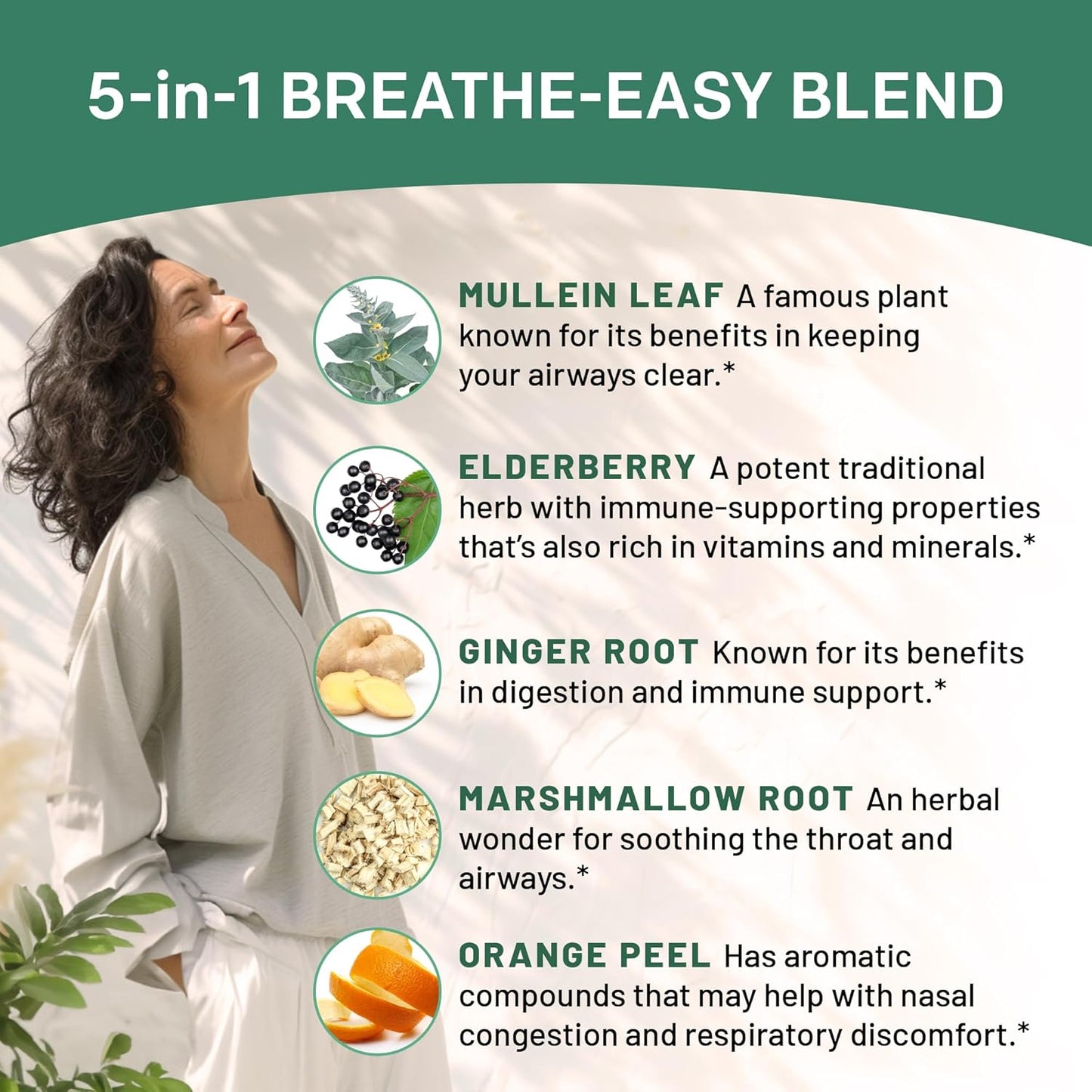 4-pack PrimeMD Mullein Lung Health Drops with Elderberry, Marshmallow, Ginger Root - 5-in-1 Respiratory Support Tincture - 120 Servings