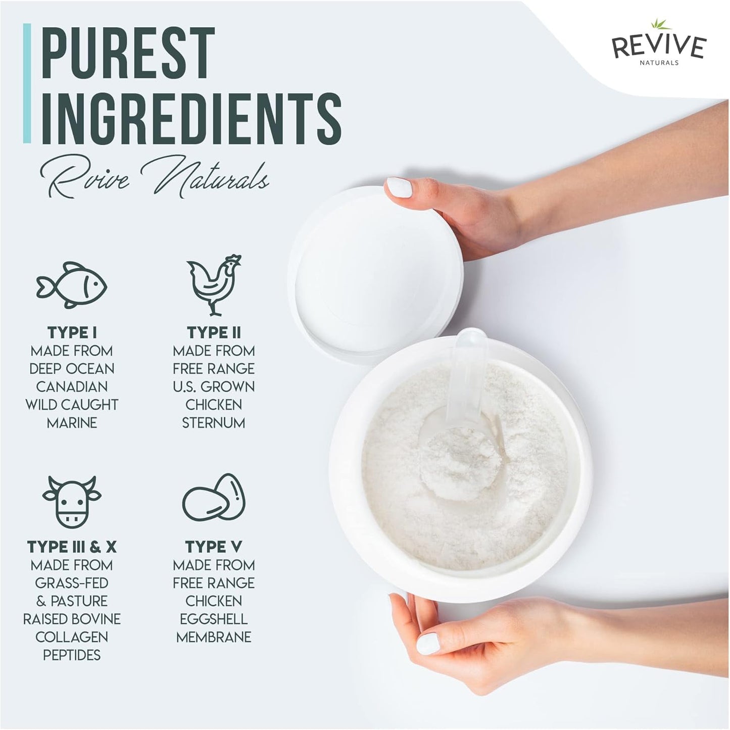 400g Unsweetened Vanilla Multi Collagen Protein Powder with 5 Types of Collagen Peptides - Grass Fed Bovine, Wild Caught Marine & Free-Range Chicken - Keto Friendly