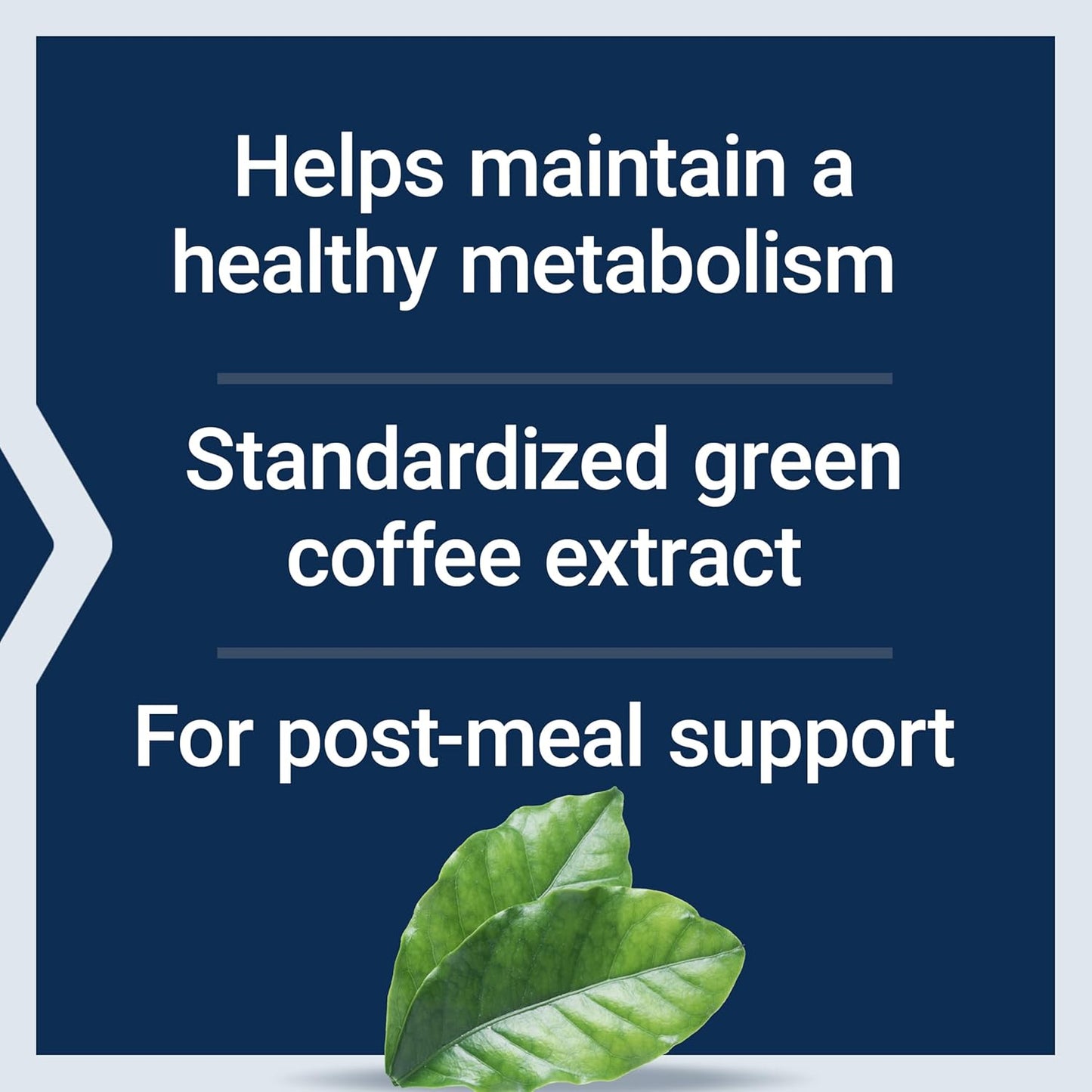 400mg Green Coffee Extract Capsules for After-Meal Metabolism Support - 90 Count, Gluten Free, Non-GMO, Vegetarian - 50% Chlorogenic Acid Standardized