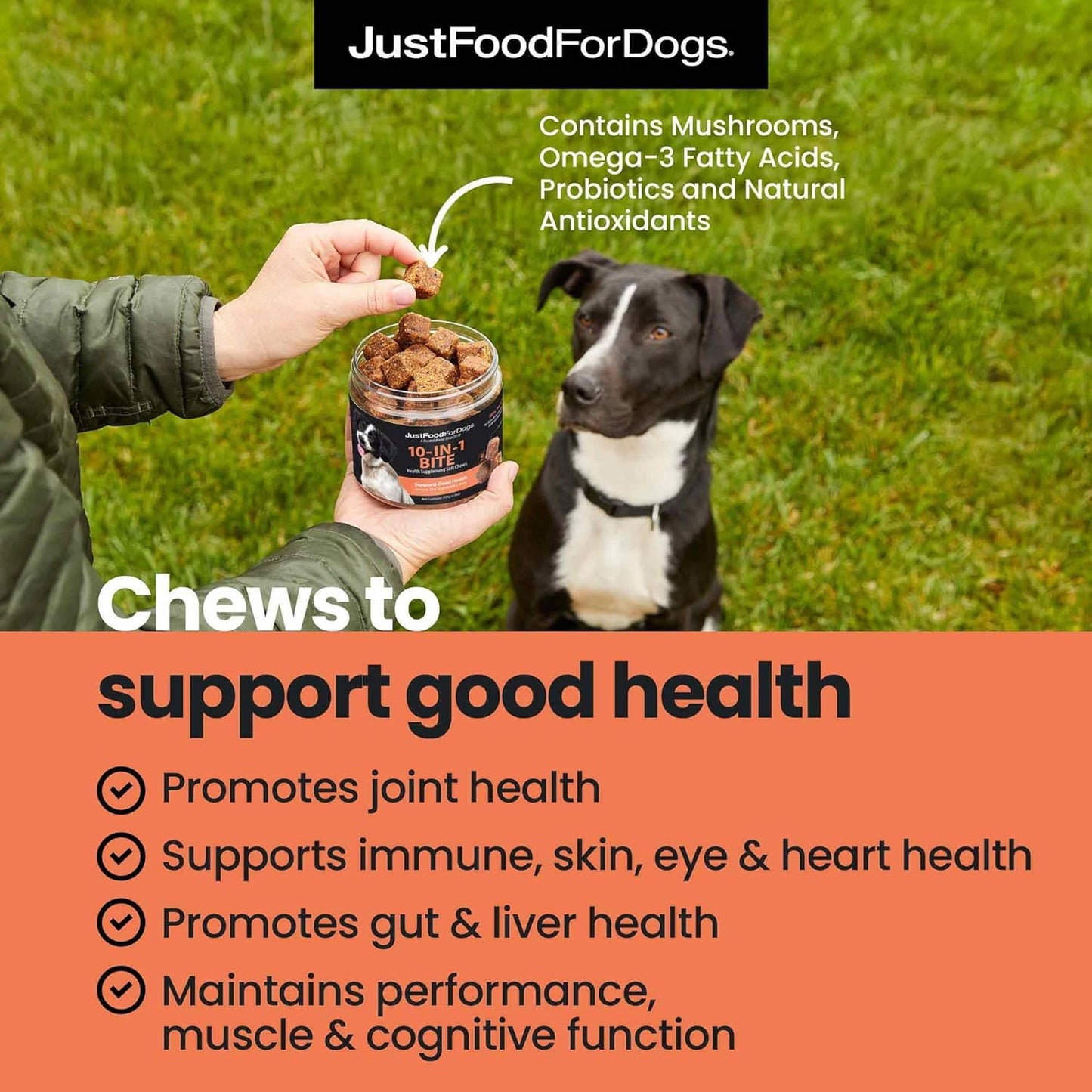 45 Count JustFoodForDogs Multifunctional Supplement Chews with Superfood Blend, Glucosamine, Omega-3, Probiotics for Skin & Joint Health