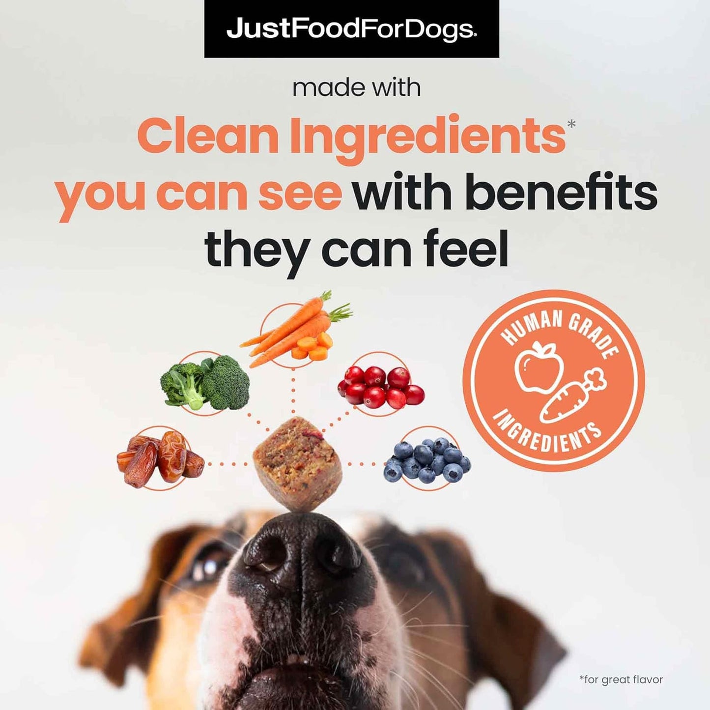 45 Count JustFoodForDogs Multifunctional Supplement Chews with Superfood Blend, Glucosamine, Omega-3, Probiotics for Skin & Joint Health