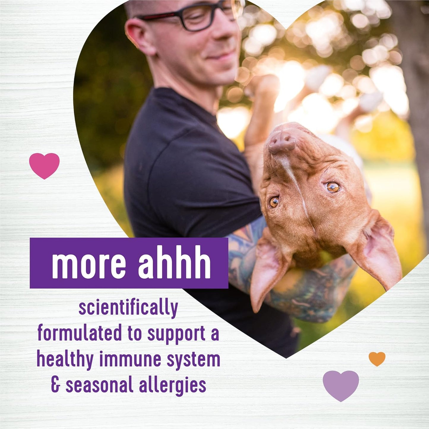 45 Count Salmon Flavored Soft Chew Immune and Allergy Supplements for Dog Wellness