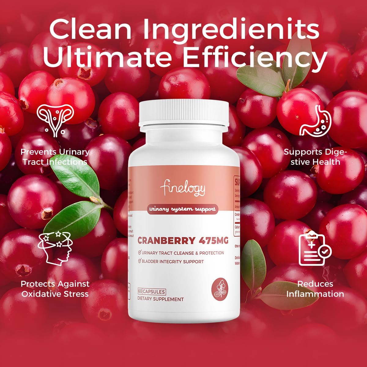 475mg Cranberry Pills - 60 Vegan Capsules for Urinary Tract & Bladder Health | Non-GMO Cranberry Supplement with Concentrated Powder - Sugar-Free (2-Month Supply)