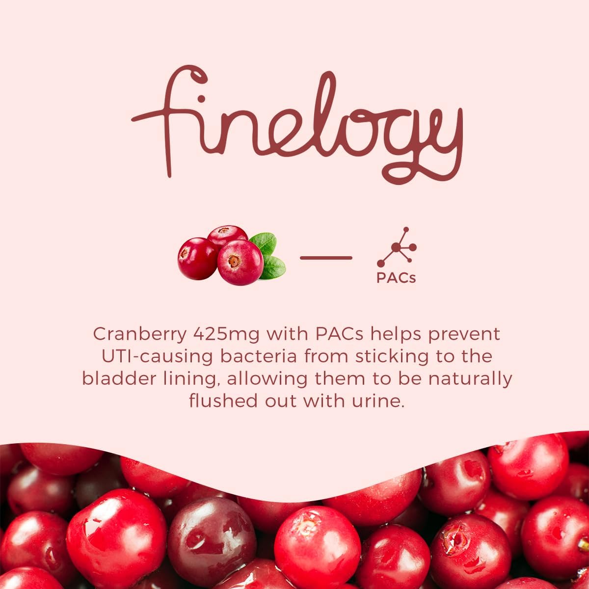 475mg Cranberry Pills - 60 Vegan Capsules for Urinary Tract & Bladder Health | Non-GMO Cranberry Supplement with Concentrated Powder - Sugar-Free (2-Month Supply)