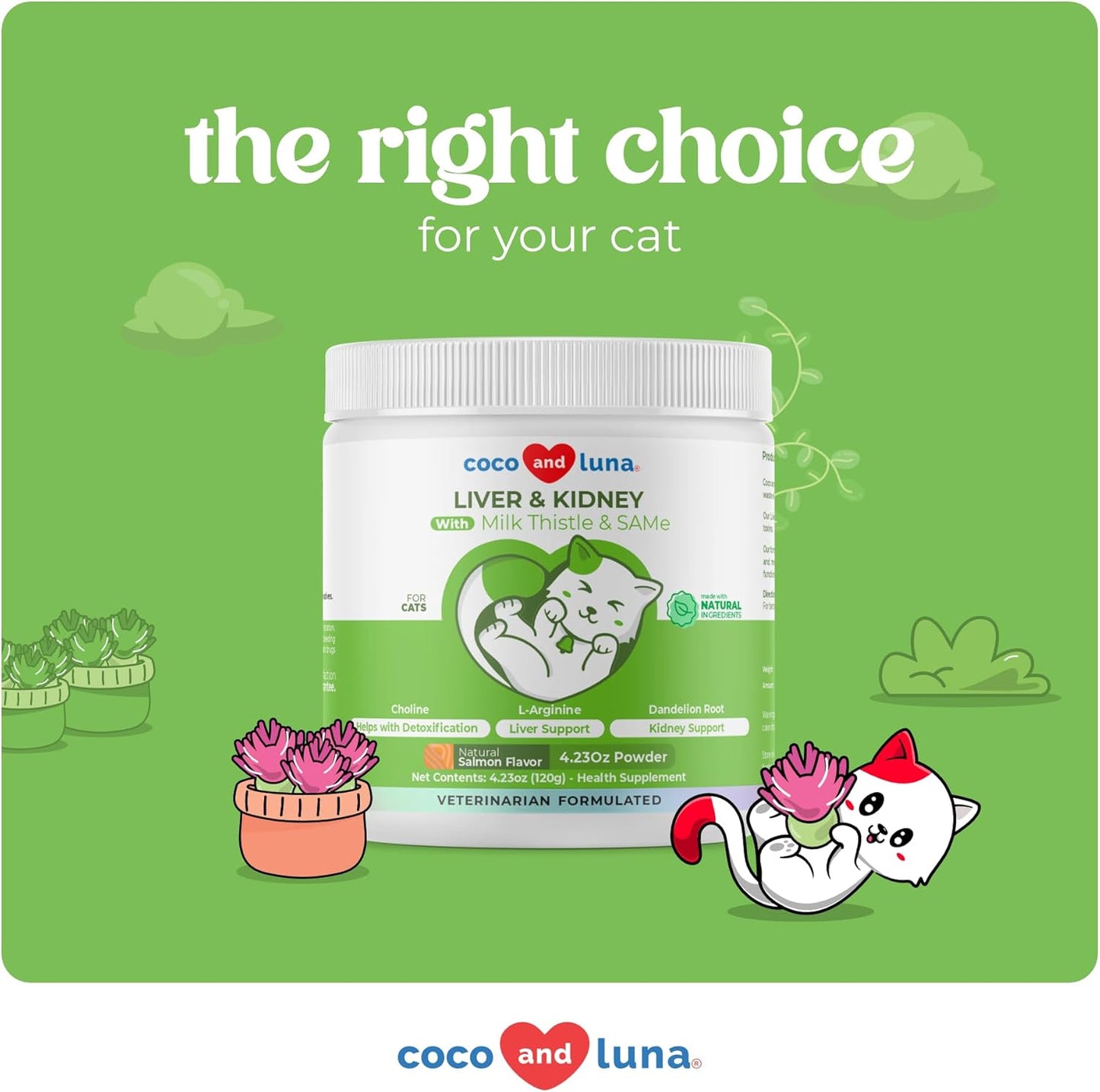 4oz Coco and Luna Milk Thistle Powder for Cats - Natural Liver & Kidney Supplement - Detox & Hepatic Support - Promotes Healthy Liver & Kidney Function - Same & L-Arginine